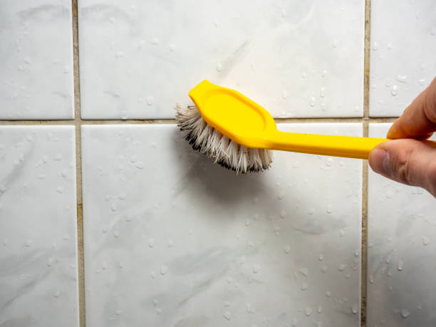 Best Post-Flood Mold Remediation in Innotion, VA