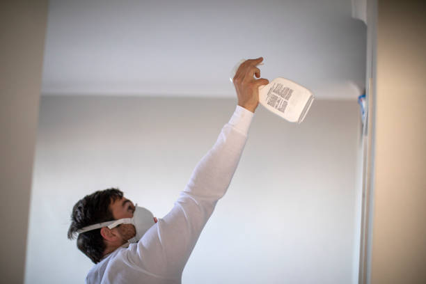 Best Attic Mold Remediation in Innotion, VA