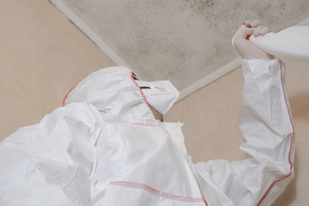 Best Health and Safety Mold Remediation in Innotion, VA