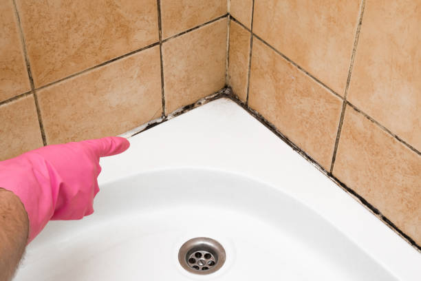 Best Preventive Mold Services in Innotion, VA